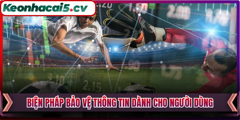 Biện pháp bảo vệ thông tin dành cho người dùng