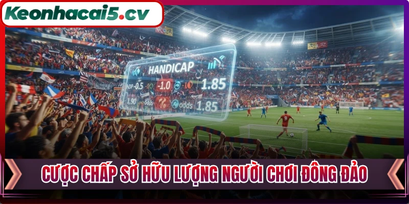 Cược chấp sở hữu lượng người chơi đông đảo