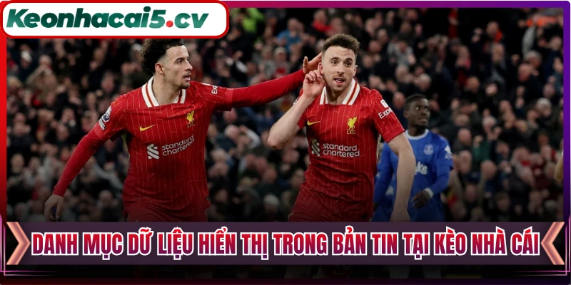 Danh mục dữ liệu hiển thị trong bản tin tại Kèo Nhà Cái