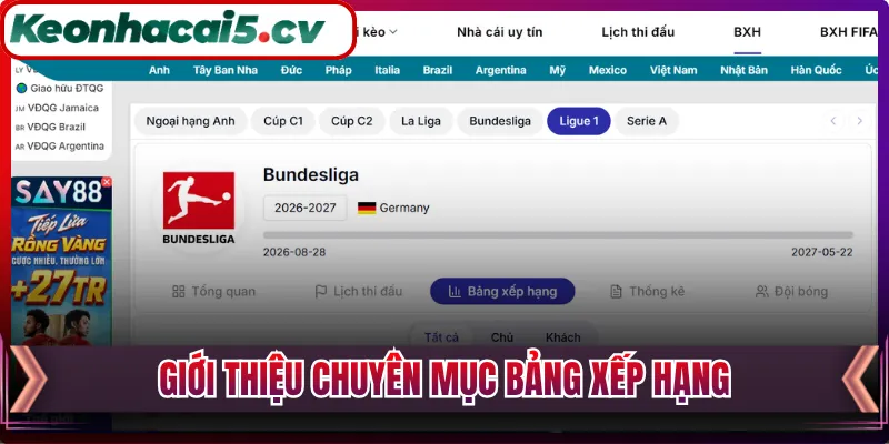 Giới thiệu chuyên mục bảng xếp hạng