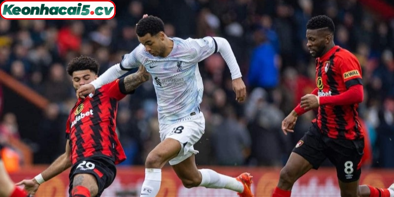 Bournemouth vs Liverpool